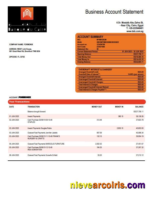 Banque du Caire company account statement